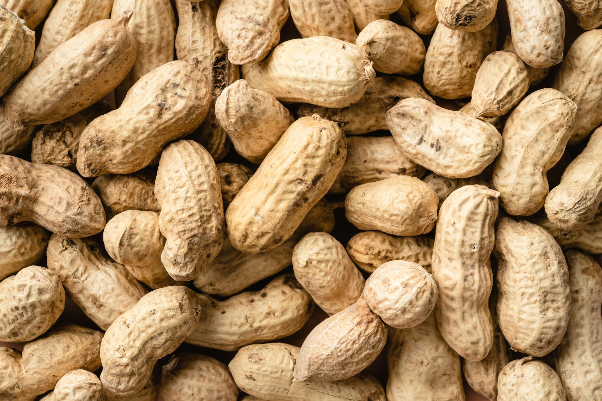 Close-Up Shot of Peanuts