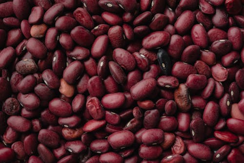 Gratis Foto stok gratis biji-bijian, kacang merah, keberlebihan Foto Stok