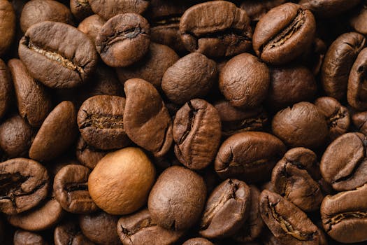 Detailed close-up shot of roasted coffee beans arranged in a flatlay.