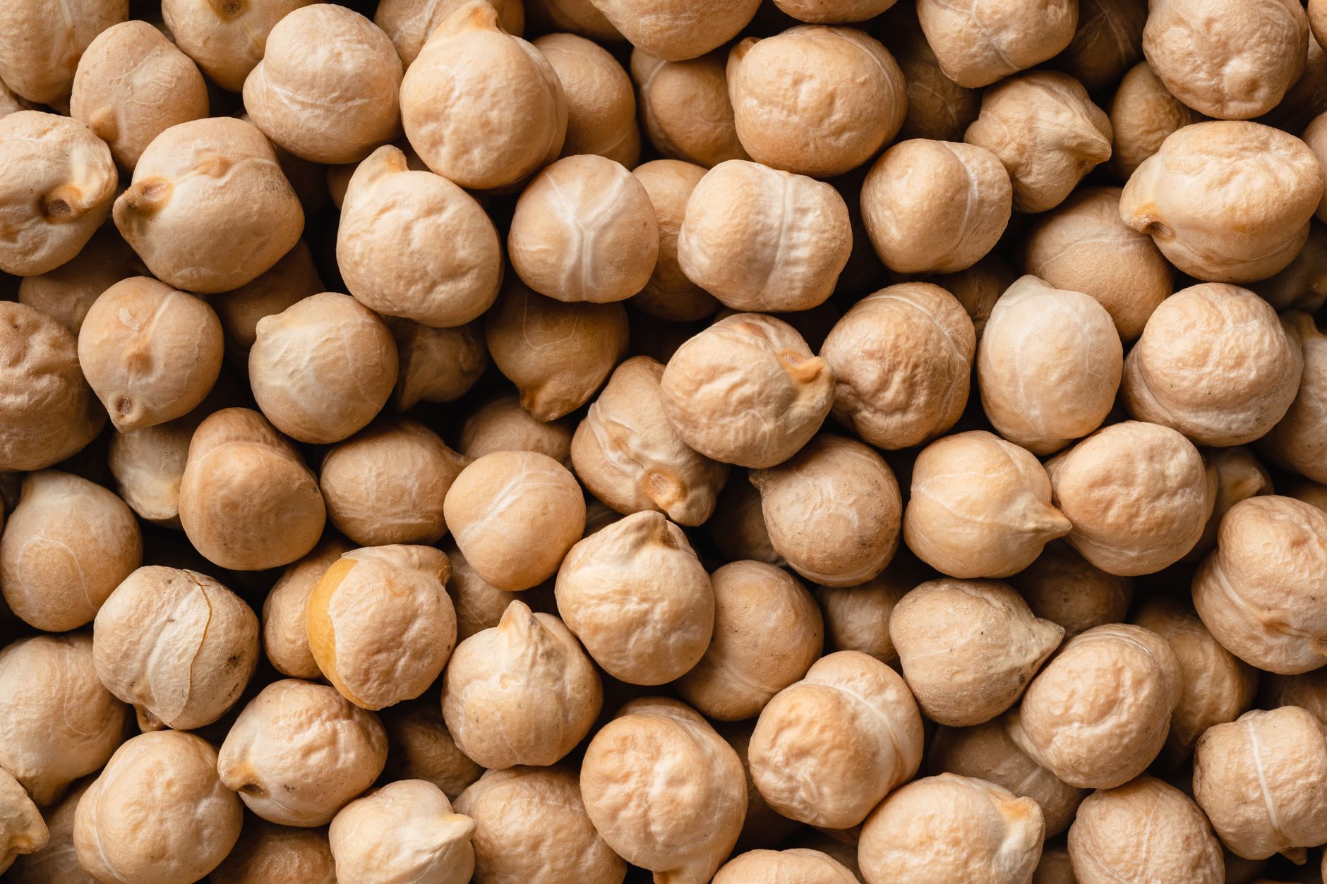 地中海飲食適合素食者嗎?優點與調整全指南 Detailed close-up image of raw chickpeas, highlighting texture and natural color.
