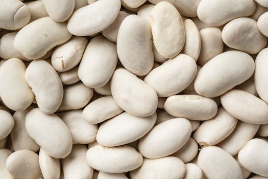 white beans image 3