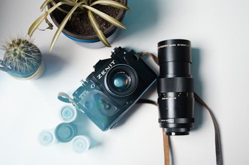 zenit ttl, Zenit 相機, 仙人掌 的 免费素材图片