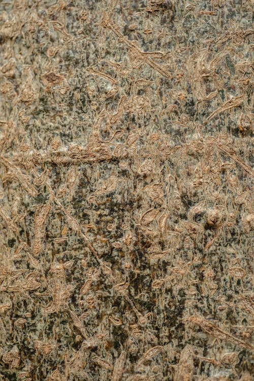 Close-up of a Rough Surface 