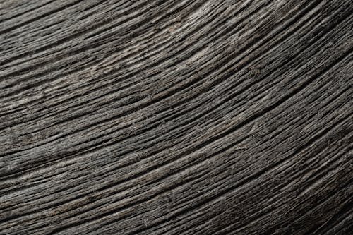 Close-Up Photo of a Gray Wood Surface