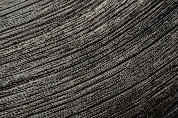 Close-Up Photo Of A Gray Wood Surface