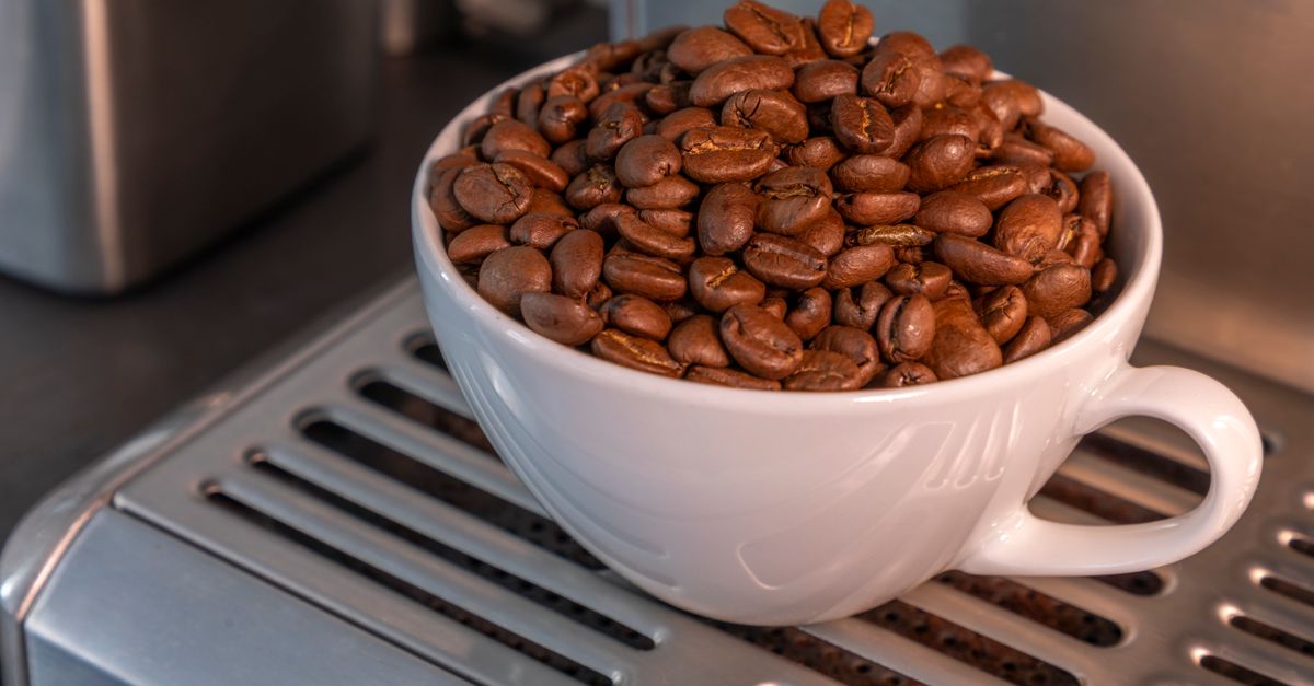 Roast Selection Guide for Breville Owners