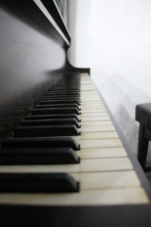 คลังภาพถ่ายฟรี ของ ขาว, ขาวดำ, คีย์เปียโน