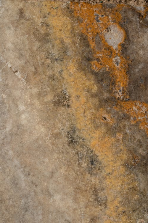 Darmowe zdjęcie z galerii z abstrakcyjny, beżowy, brązowy