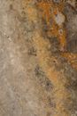Close Up Photo of Marble Surface
