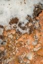 Close Up Photo of Marble Surface