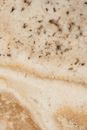 Close Up Photo of Marble Surface