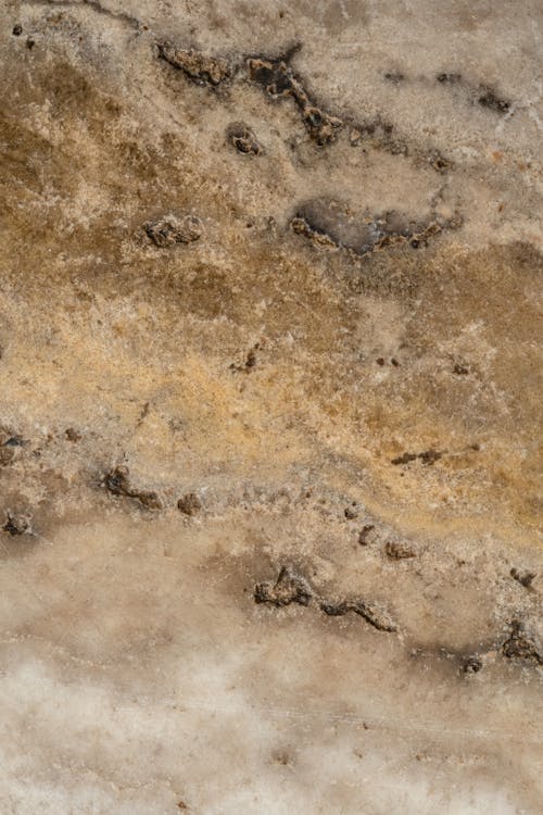 光滑, 变质岩, 土石 的 免费素材图片