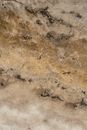 Close Up Photo of Marble Surface
