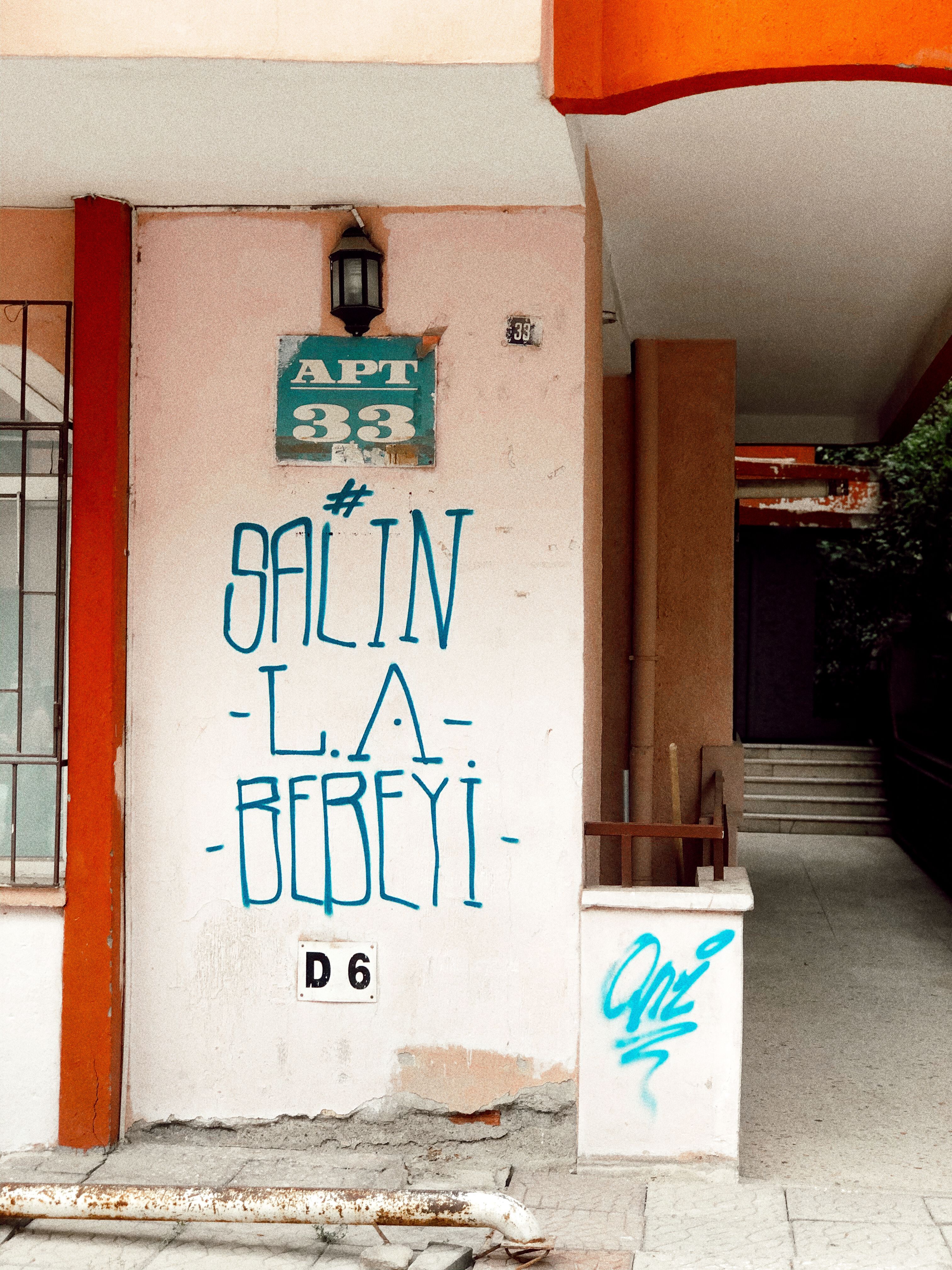Street view of an urban building facade with graffiti and apartment signage, showcasing city culture.