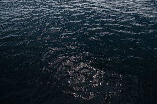 水, 水域, 波紋の無料の写真素材