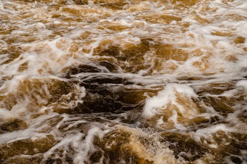 Free A Cascading River Stock Photo