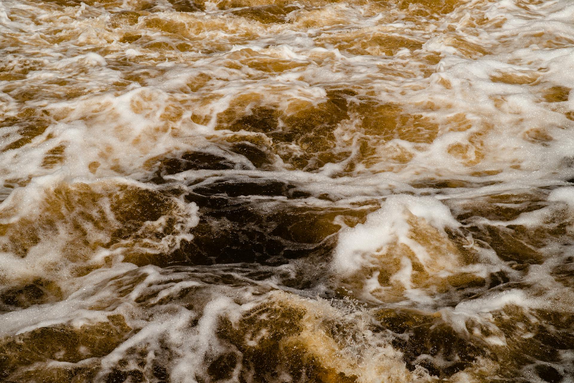 Close-up of dynamic rapids with frothy white and brown water creating dramatic movement.