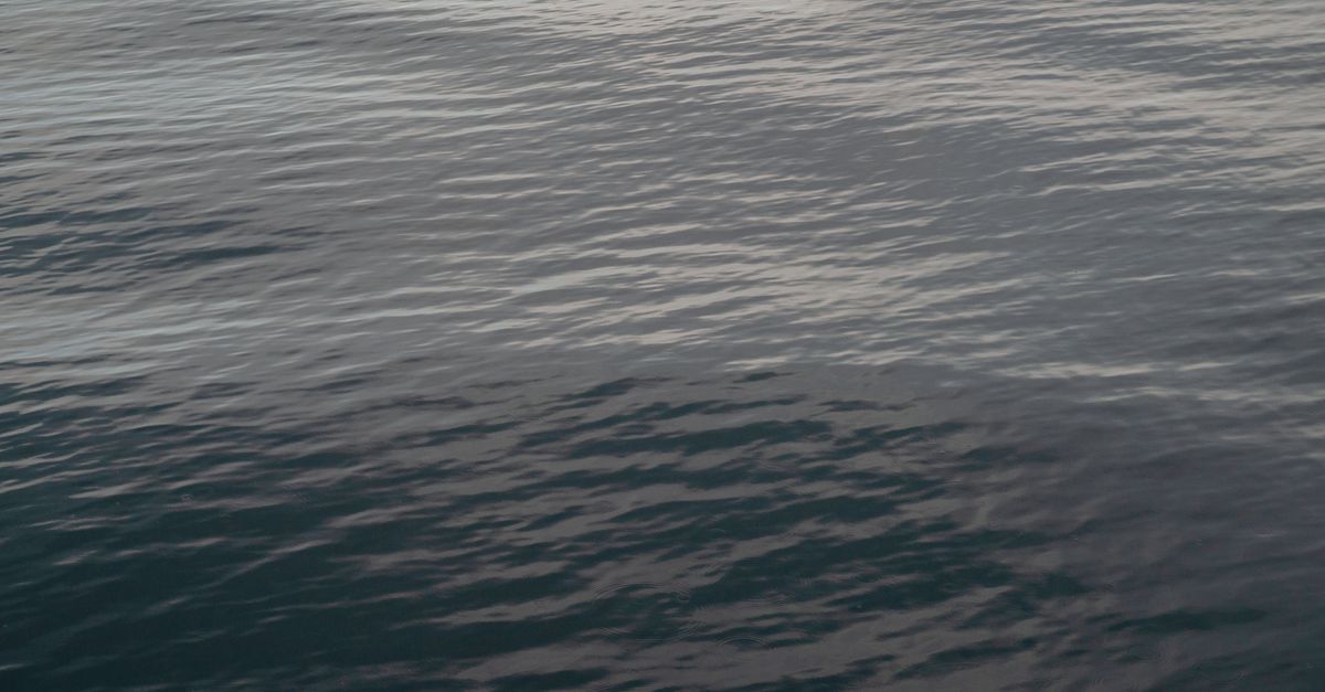 Water