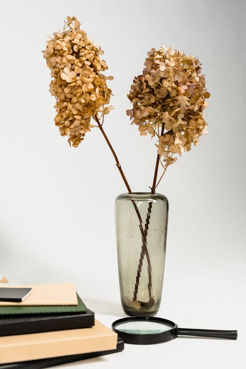 Free Dried Flowers in a Vase Stock Photo