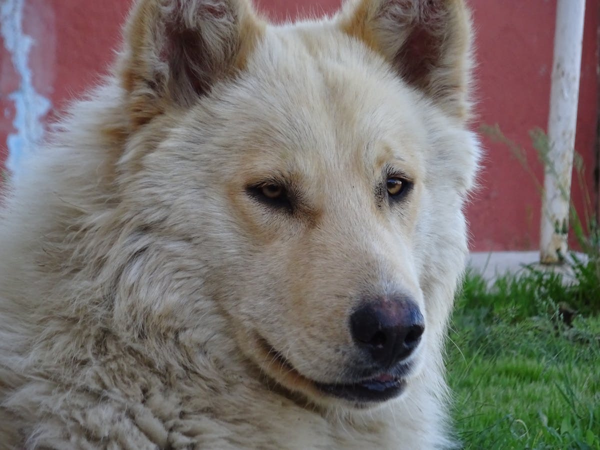 Optometrist conducting a vision test on a patient