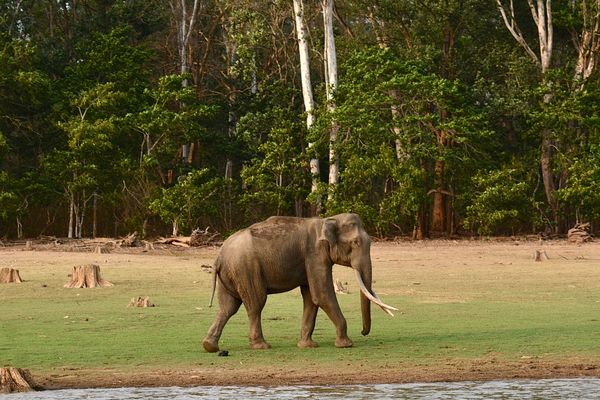 City Highlights Tour in Thekkady
