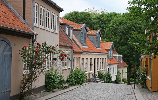 Scenic view of colorful houses lining a cobblestone street in Odense, Denmark.