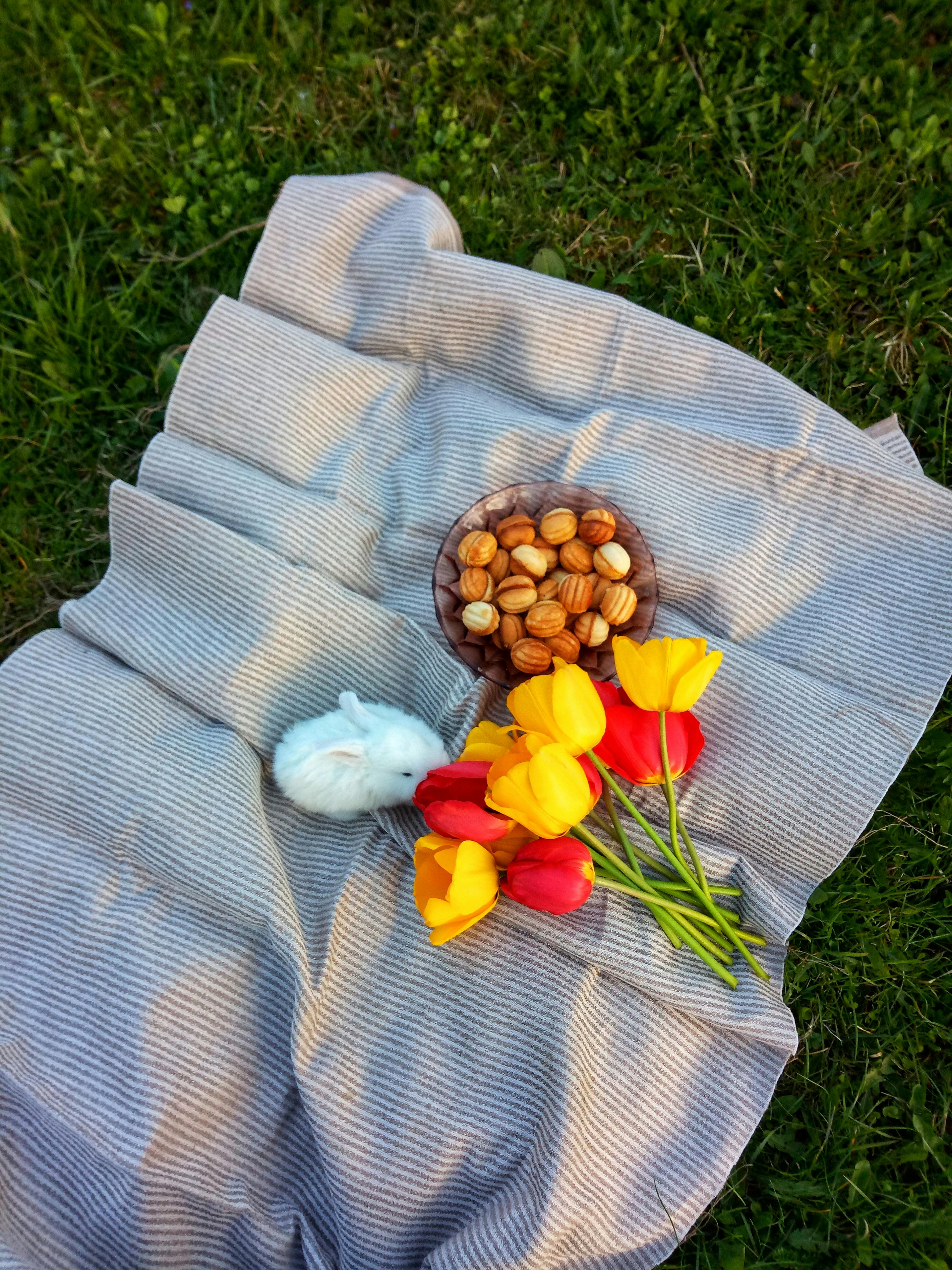 Yellow and Pink Flowers on Gray Textile