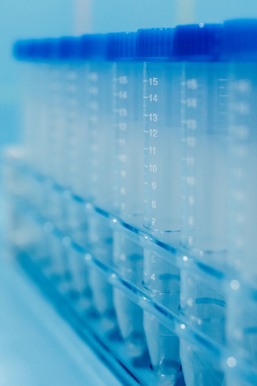 New DNA Loops Found to Protect Genome During Replication Stress