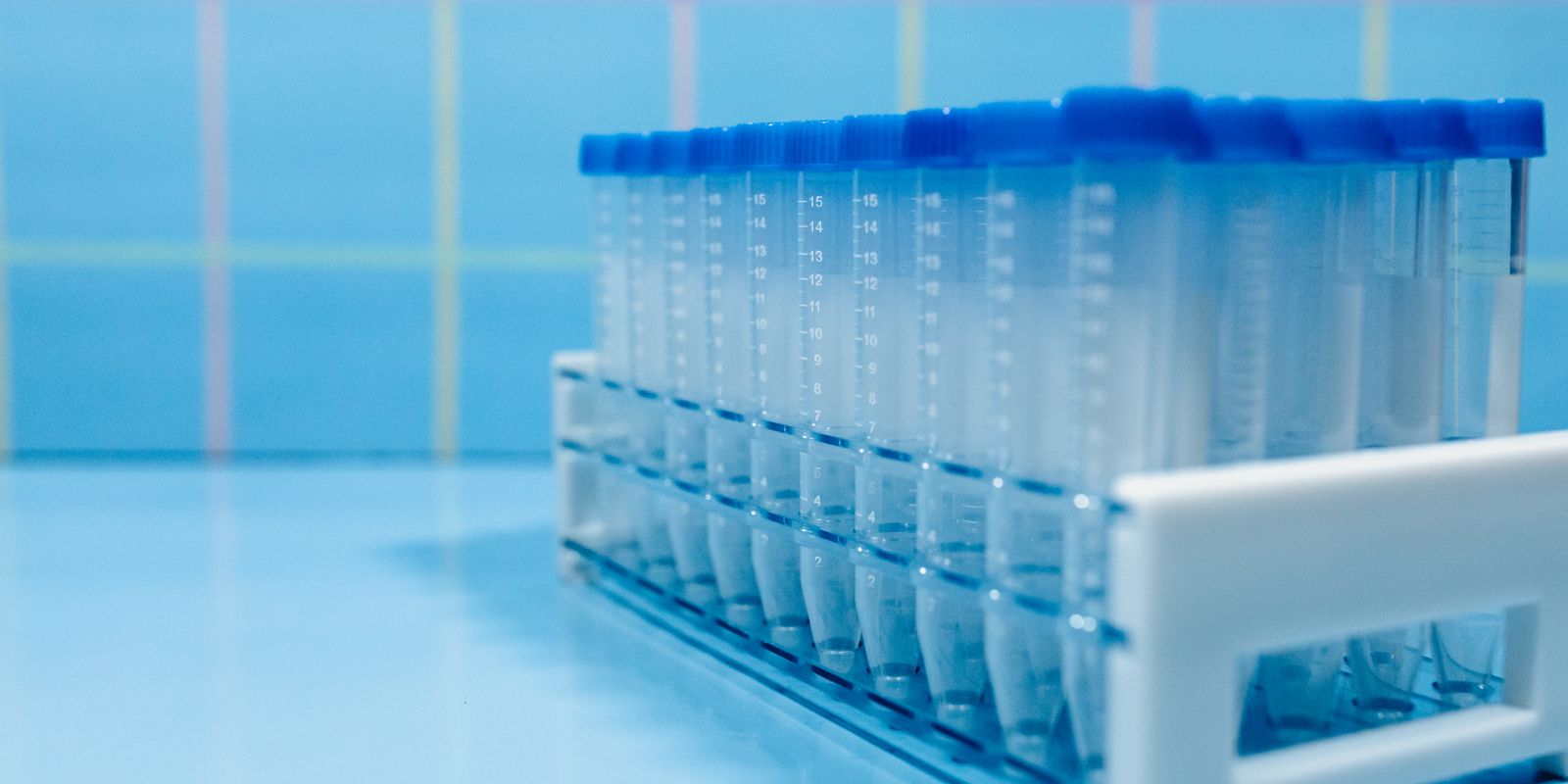 Laboratory test tubes in a plastic rack on a reflective blue surface.