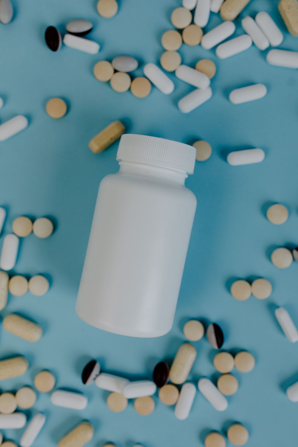 Fenbendazole Wormiza 500mg