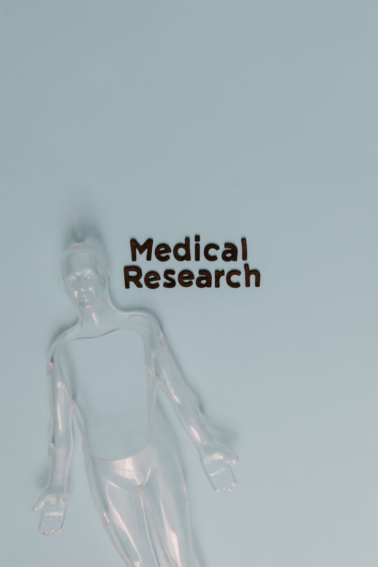 A Medical Research Signage With Clear Plastic Human Sculpture