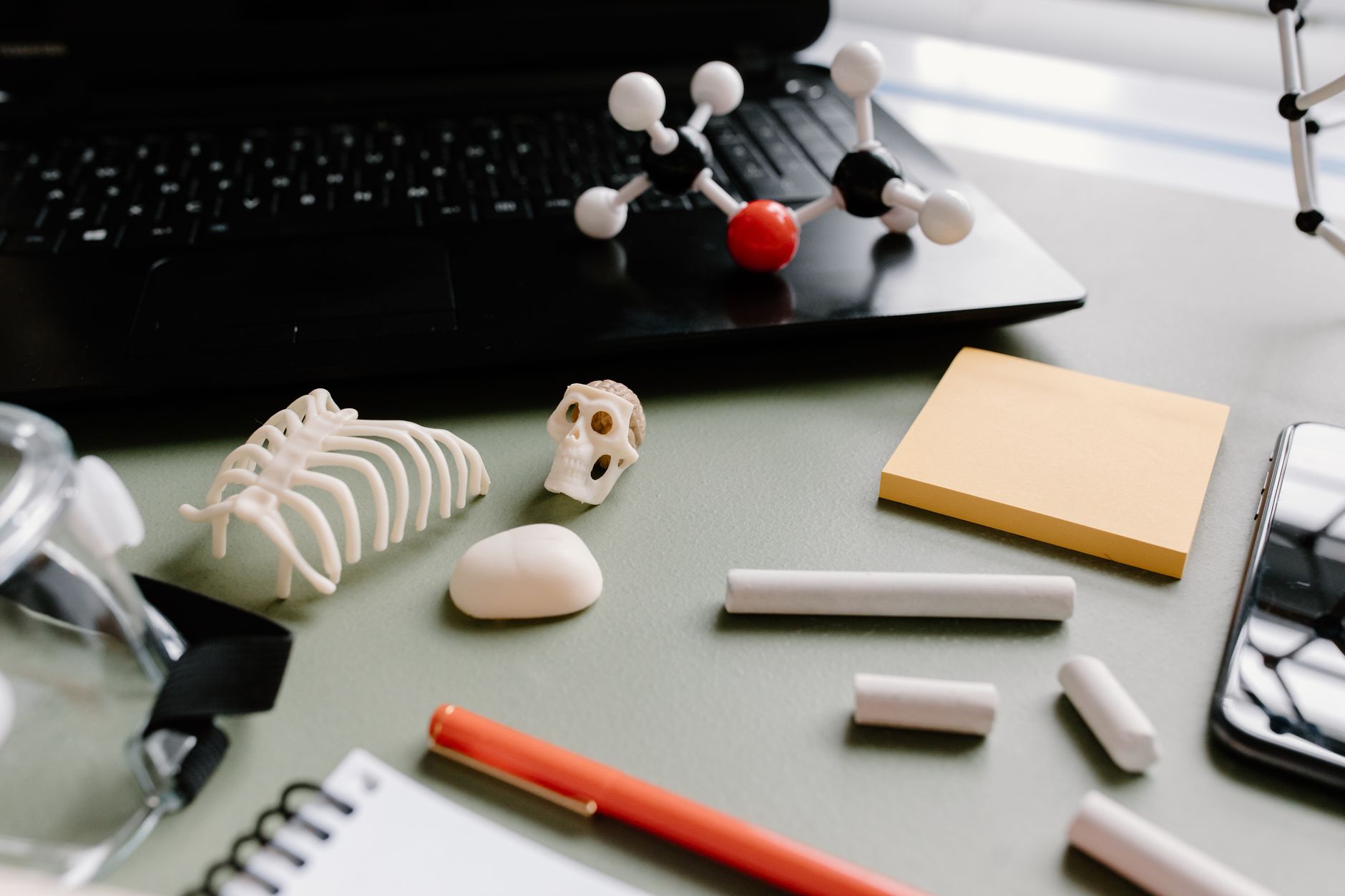 A flat lay of a scientific desk with molecular models, rib cage model, and laptop.