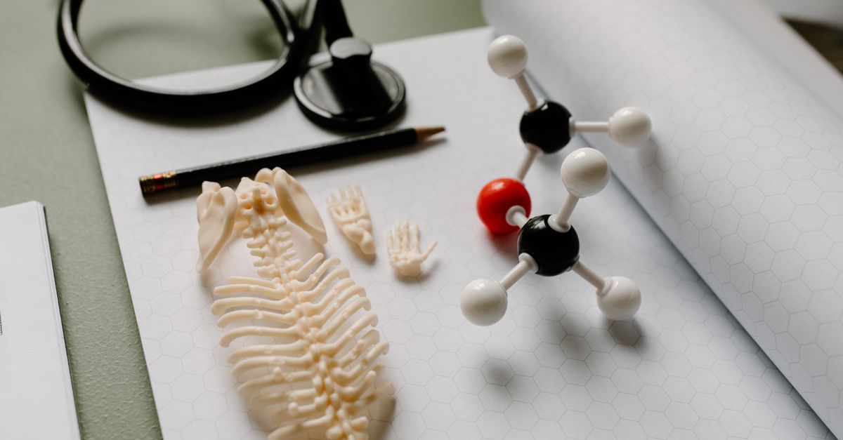 Flat lay of a skeleton model, molecule structure, and stethoscope on hexagon graph paper for educational purposes. - Evidence evidence guide for glucosamine stiffness meta-analysis