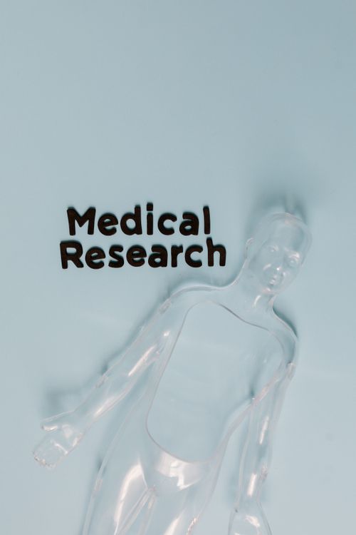 Free Conceptual image of a transparent human model with medical research text on pastel background. Stock Photo