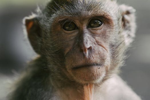 Image by Mikhail Nilov