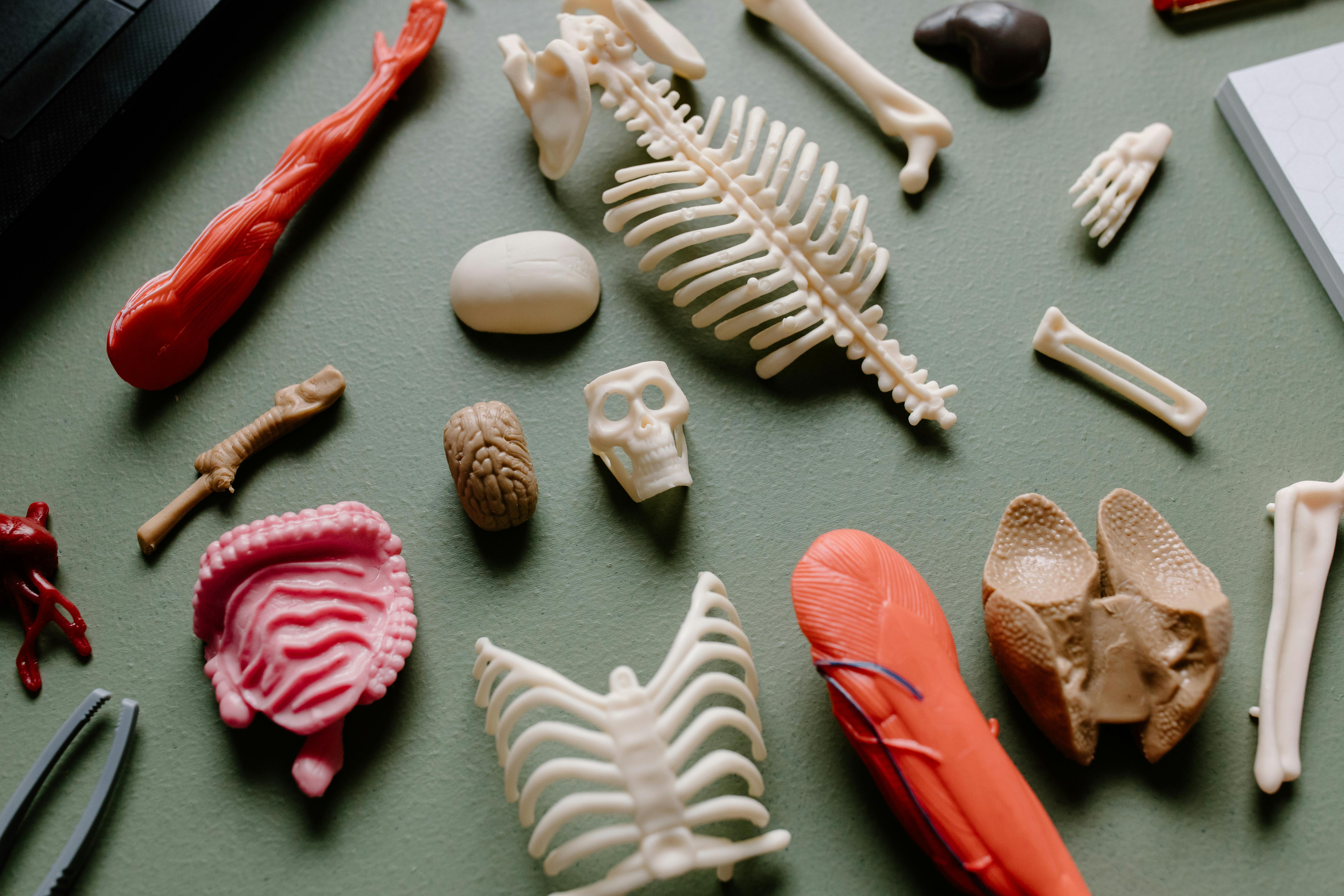 Hands-on homeschool science activity using a lab kit