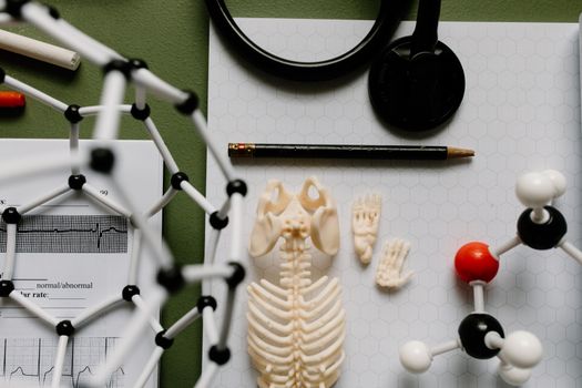 Educational science setup with molecular models, skeletal display, and stethoscope.