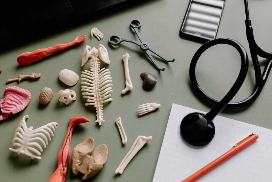 How Simulation-Based Learning in Nursing Education Is Replacing 'See One, Do One'