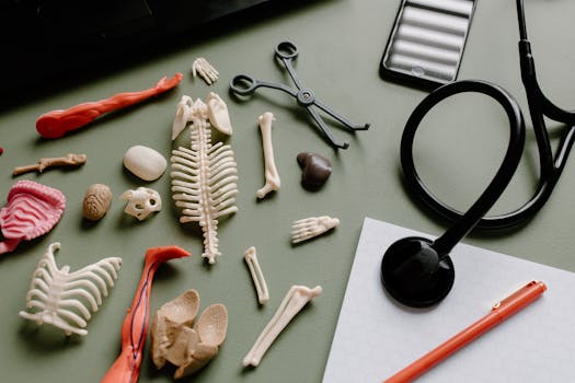 Flat lay of medical anatomy model parts, stethoscope, and tools on a green surface for educational or healthcare themes.