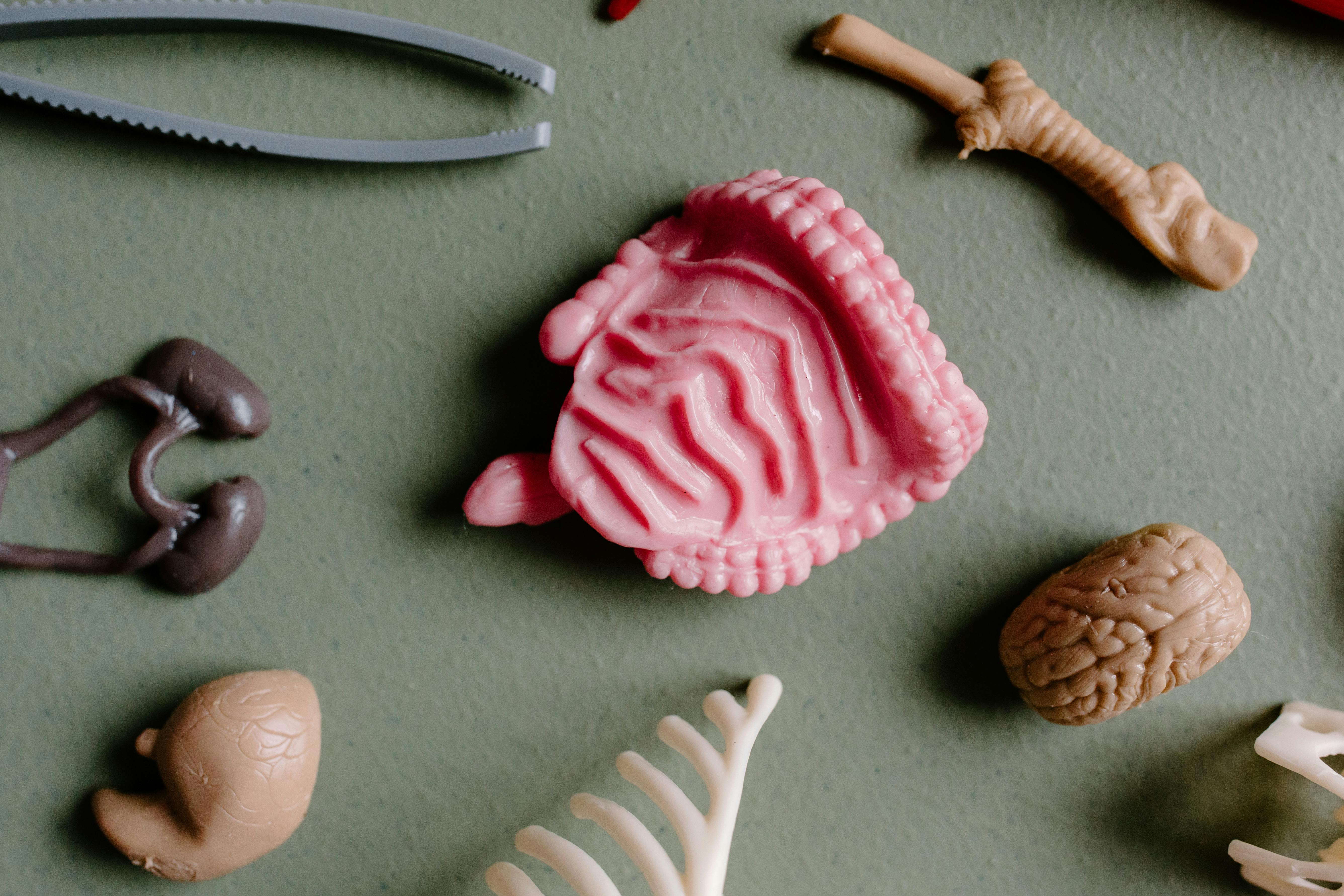 pink and white heart shaped candy