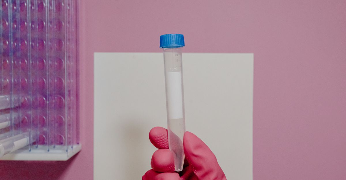 Cochrane Review: Common Embryo Transfer Methods Show No IVF Success Boost