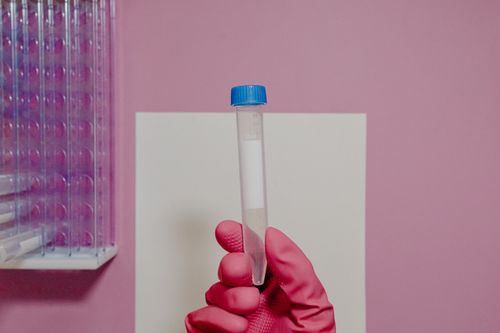 Free A gloved hand holding a test tube in a laboratory setting with a pink background. Stock Photo