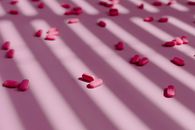 Pink Tablets