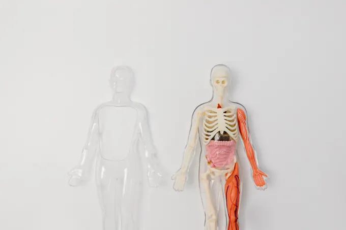 4. 희망등록 후 가족이 반대하면 어떻게 될까?