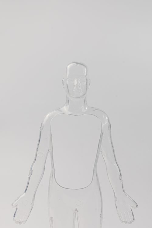 Free A transparent anatomical model showcasing human features, ideal for educational and medical use. Stock Photo