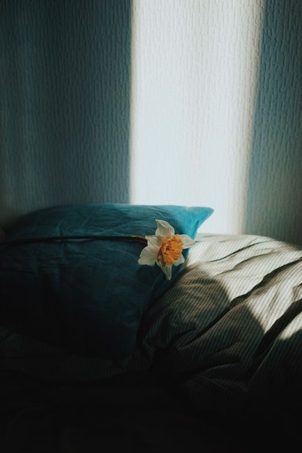Sunlight casts shadows on a pillow and daffodil, creating a peaceful indoor atmosphere.