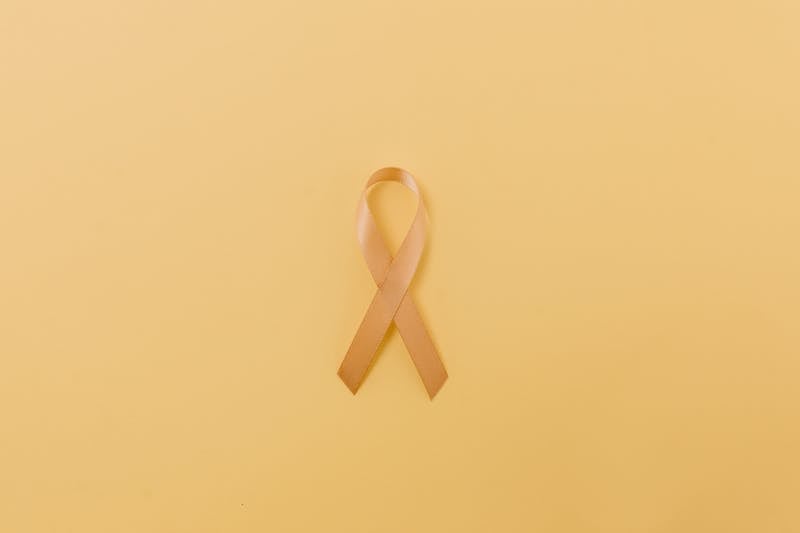 대마종자유 성분 이미지