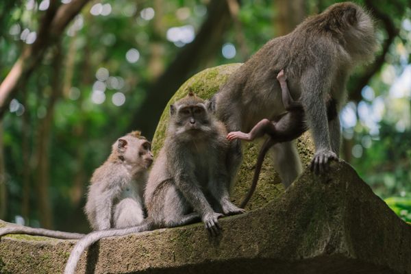 Discover Bali - Stays