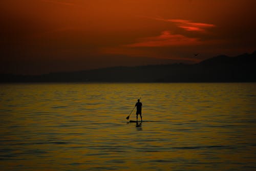Fotobanka s bezplatnými fotkami na tému muž na paddleboard pri západe slnka