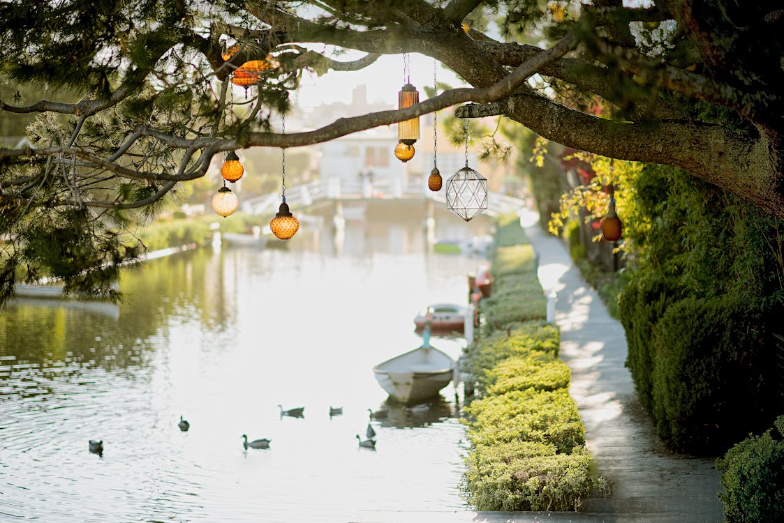 Brown Pendant Lamp Hanging on Tree Near River